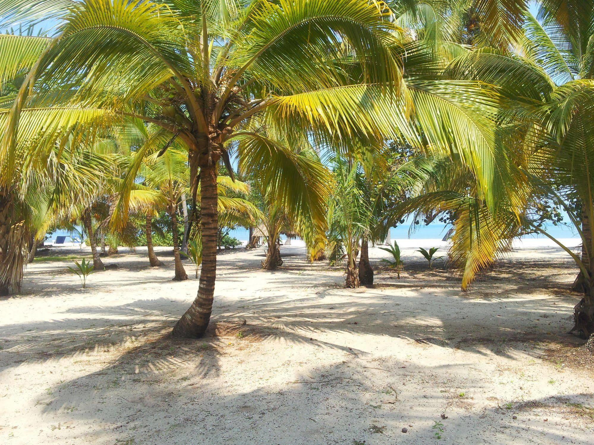 Hotel Playa Mandala Palomino Esterno foto