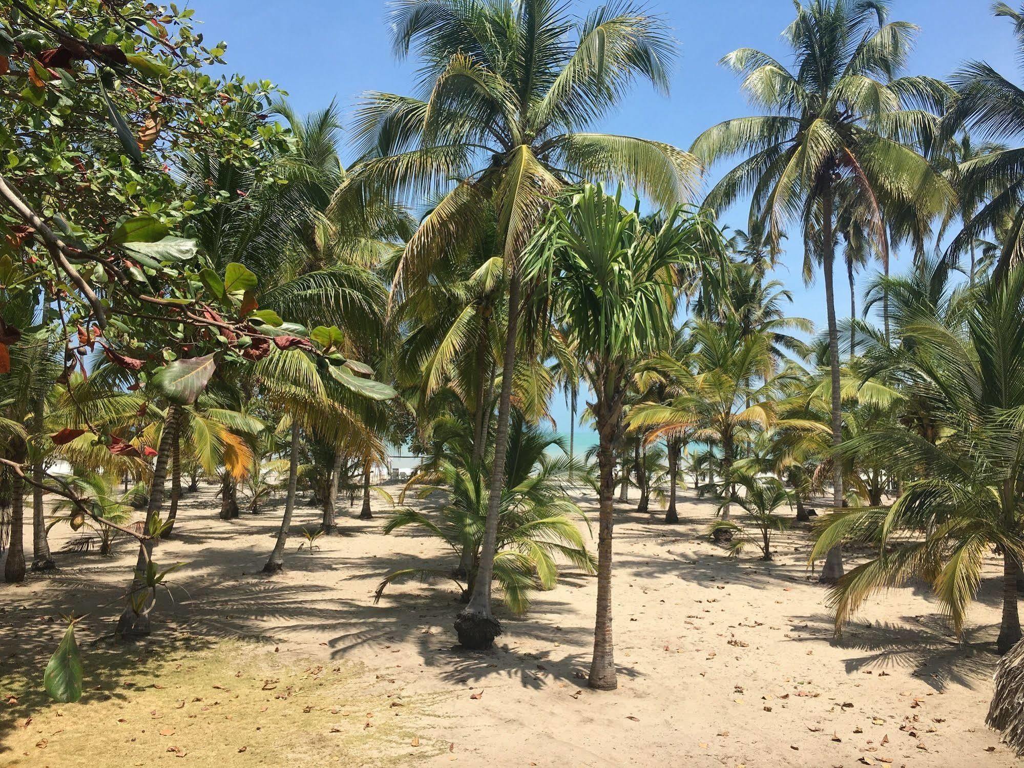 Hotel Playa Mandala Palomino Esterno foto